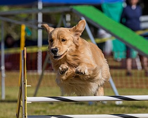 20190615-CCKC-0150.jpg