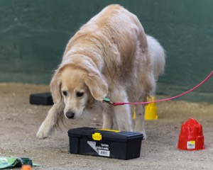 20260718-NSKC-0588.jpg
