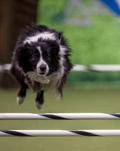 Breeze Schunk