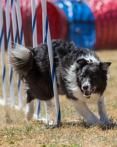 20160618-CCKC-1796.jpg