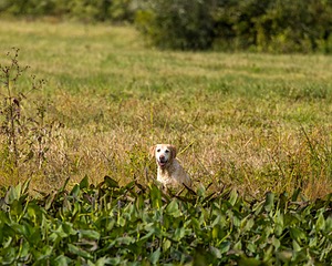 20220925-SHW-0040.jpg