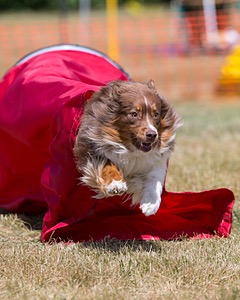 20150613-CCKC-0192.jpg