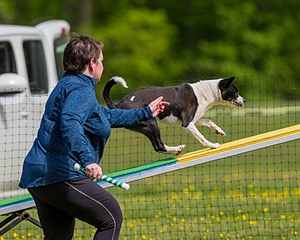 20170521-NEAT-0338.jpg
