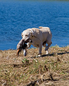 20061014-JHW-208.jpg