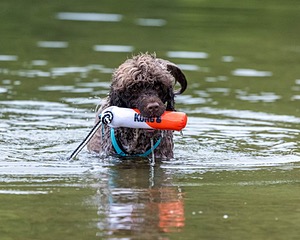 Keeli Gushue