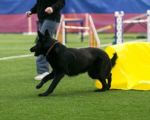 Dash Mathieu