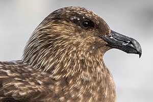 20191218-2238.jpg
