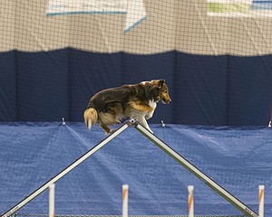 20150321-LEAP-1324.jpg