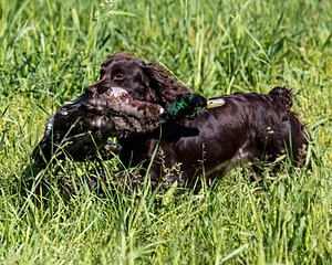20210606-SEAL-0766.jpg