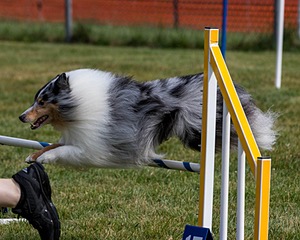 20200819-0326.jpg