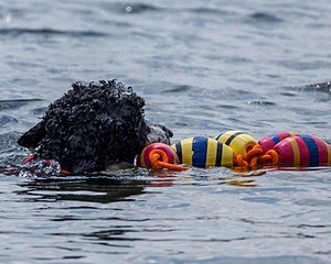 Bohdi Mayo