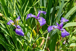 20180707-0128.jpg