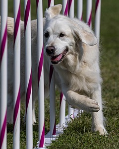 20230916-PVKC-1208.jpg