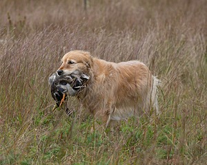 20130921-WCL-0013.jpg