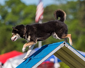 20180617-0096.jpg