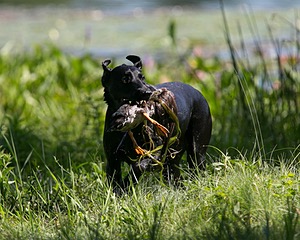 20130811-SHW-0362.jpg