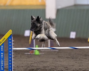 Stella Corriveau