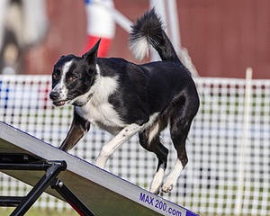20230916-PVKC-1625.jpg