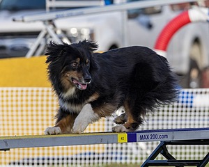 20230916-PVKC-1735.jpg