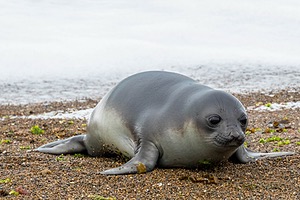 20191202-0130.jpg