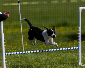 20170521-NEAT-0343.jpg