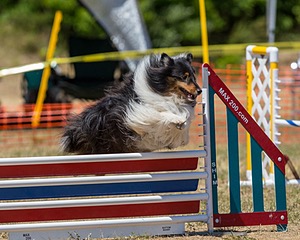 20160619-CCKC-1256.jpg