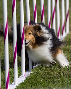 20230916-PVKC-1107.jpg