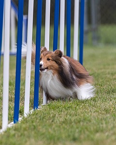 20200819-1989.jpg