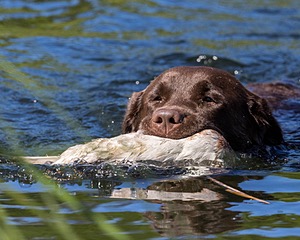 Gunny Fisher