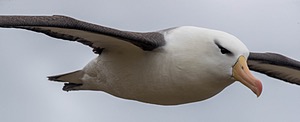 20191211-0564.jpg
