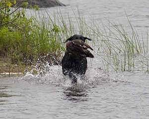 20080531-HRW-0162.jpg