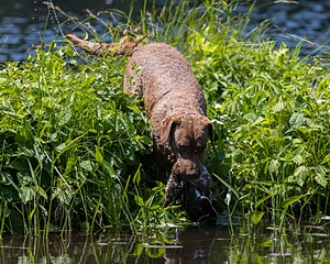 20210606-SEAW-1035.jpg
