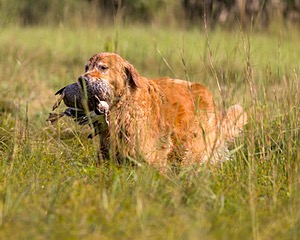 20210807-SHL-0159.jpg