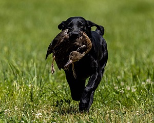20220605-FINL-1798.jpg