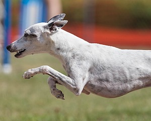 20200819-1069.jpg