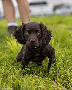 20210725-C-0031.jpg