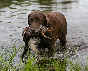 20130713-MHB2-0115.jpg