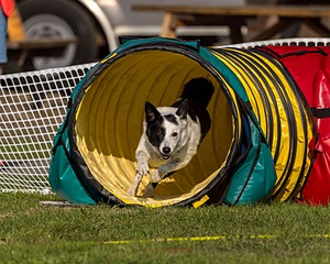 20220917-PVKC-1150.jpg