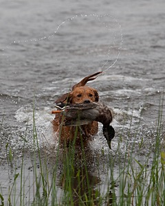20080531-HRW-0212.jpg