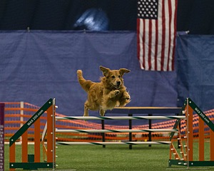 20150321-LEAP-0657.jpg