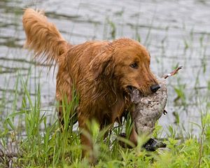 20080531-HRW-0715.jpg