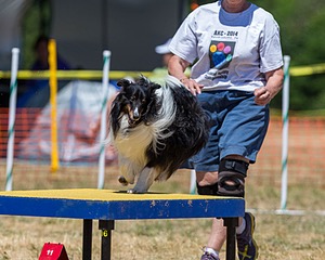 20160619-CCKC-1240.jpg