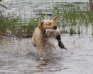 20080531-HRW-0398.jpg