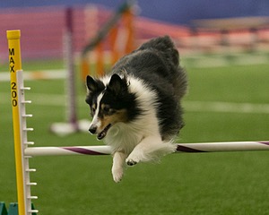 20150321-LEAP-1385.jpg