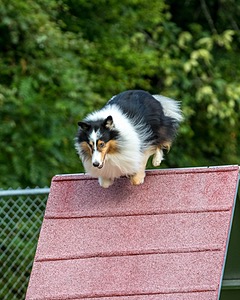 20200819-0261.jpg