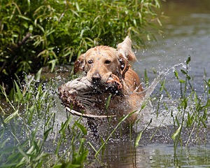 20080601-SRW-0108.jpg