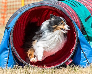 20160619-CCKC-0545.jpg