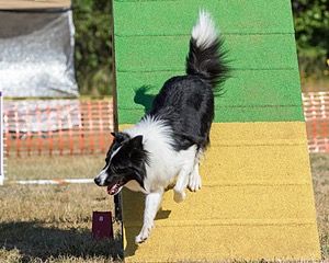 20160619-CCKC-0214.jpg