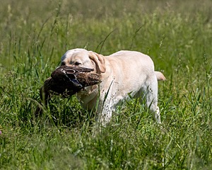 20210606-SEAL-1434.jpg