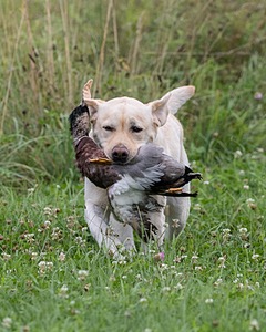 20180804-JHL-0033.jpg